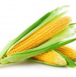corn