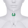 thyroid-2