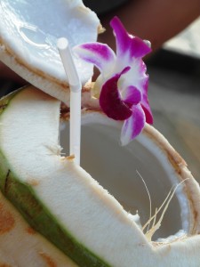 stockvault-fresh-coconut-drink-on-the-beach140887