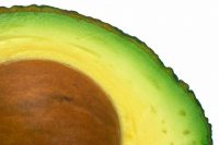 avocado-closeup
