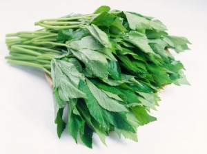 ashitaba3