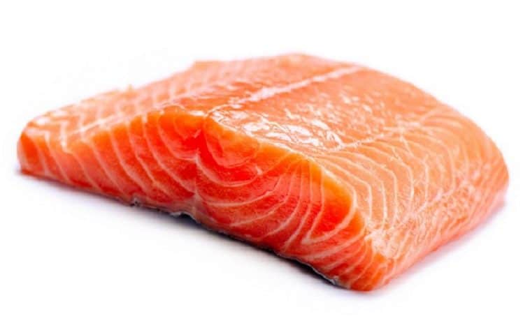 salmon