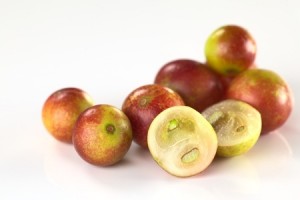 camu camu2