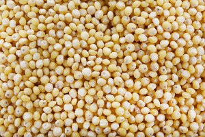Millet1