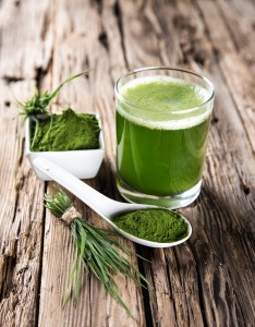 barley-grass_1