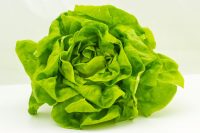 lettuce2