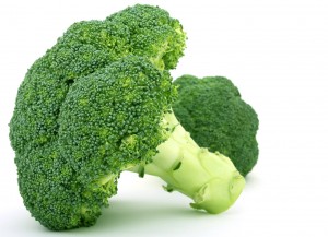 broccoli2