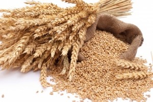 wheat