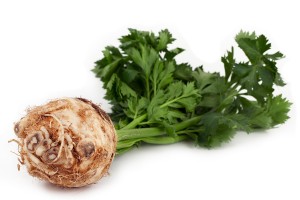 celeriac1