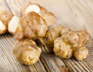 Jerusalem Artichoke1
