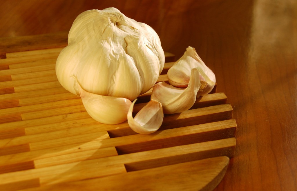 garlic1