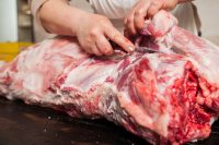 El adelgazamiento sin daño a la salud