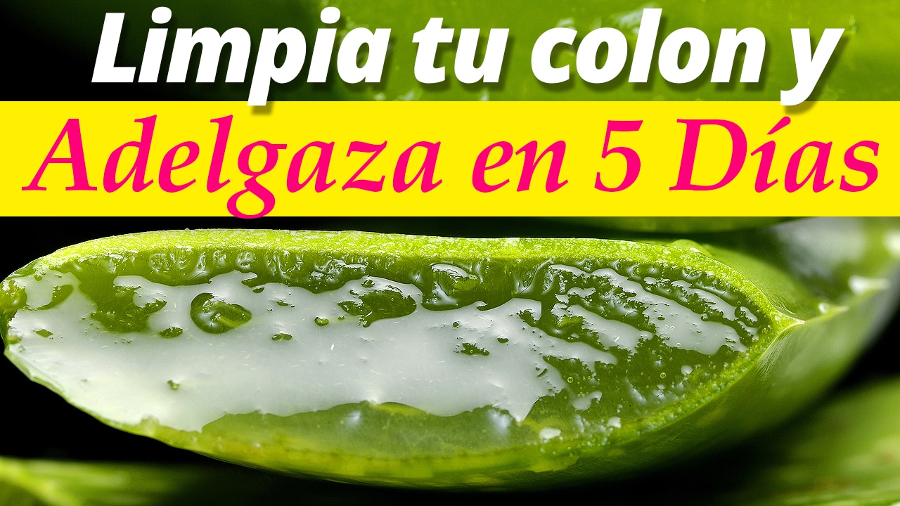 Té de hojas de sen para perder peso propiedades y riesgos Té de hojas de sen para perder peso propiedades y riesgos