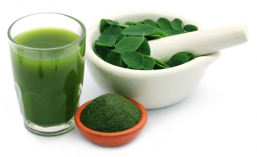Moringa Oleífera: el nuevo súper alimento para que bajes Moringa Oleífera: el nuevo súper alimento para que bajes