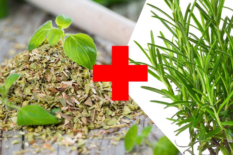 Sirve el oregano para adelgazar