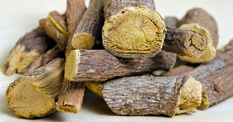 nacedero planta medicinal para adelgazar nacedero planta medicinal para adelgazar